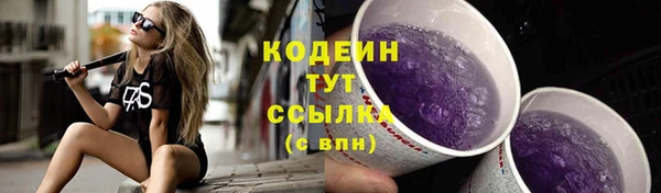 прущий лед Козельск
