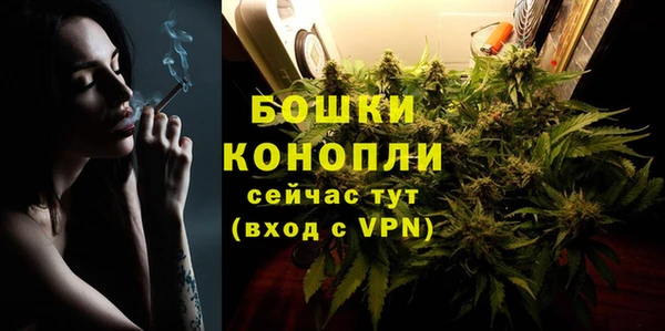 твердый Корсаков