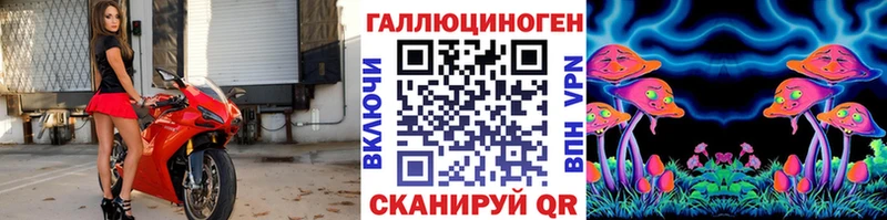 Псилоцибиновые грибы GOLDEN TEACHER  Купить  Иланский 