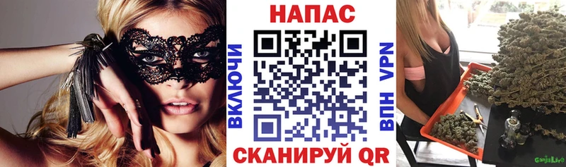 Купить закладки Иланский Бошки марихуана конопля